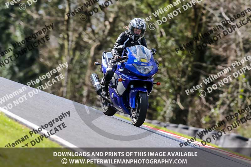 Oulton Park 20th March 2020;PJ Motorsport Photography 2020;anglesey;brands hatch;cadwell park;croft;donington park;enduro digital images;event digital images;eventdigitalimages;mallory;no limits;oulton park;peter wileman photography;racing digital images;silverstone;snetterton;trackday digital images;trackday photos;vmcc banbury run;welsh 2 day enduro